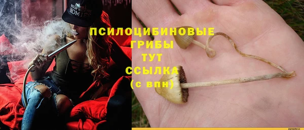 стаф Балахна