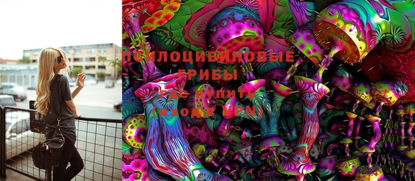 стаф Балахна