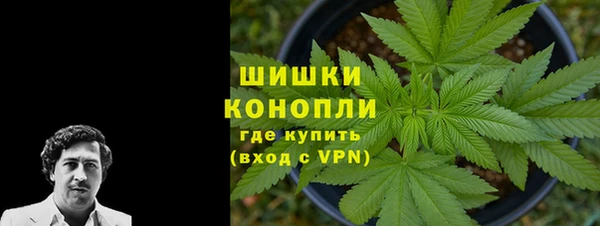 стаф Балахна
