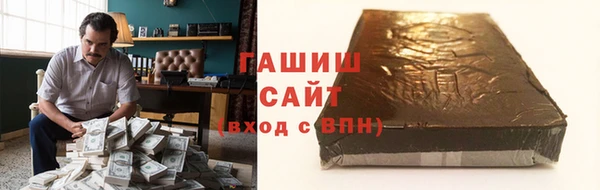 индика Покачи