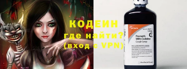 стаф Балахна